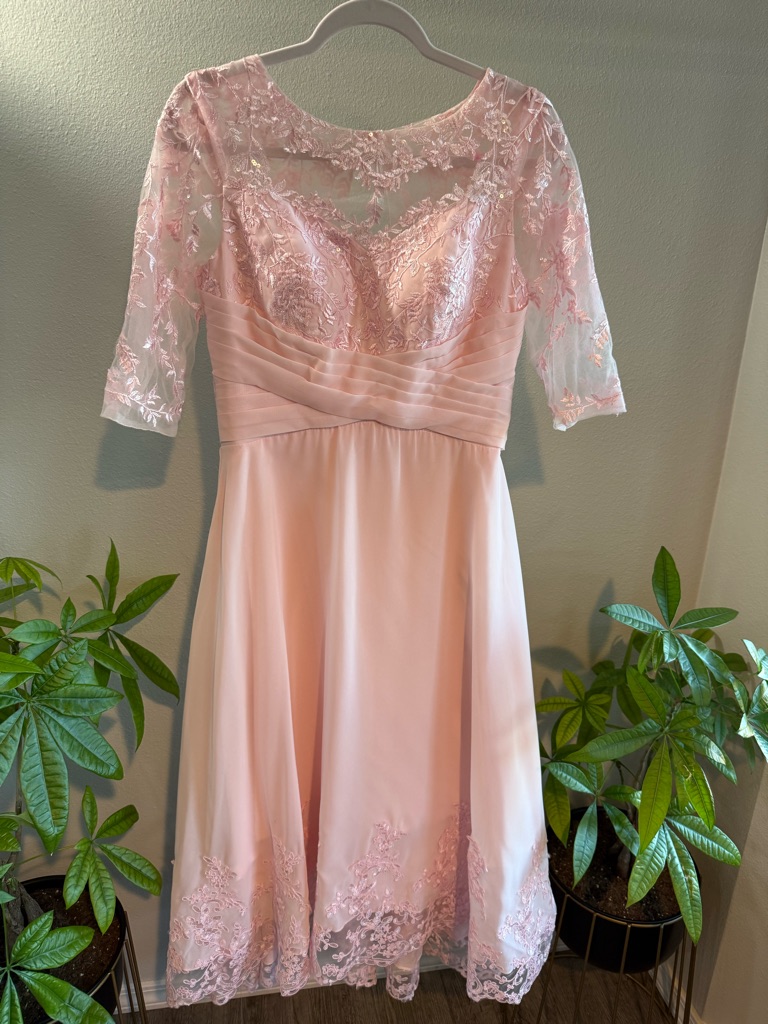 Blush Pink Lace Formal Dress Fits Like Size 10 (Nwt)